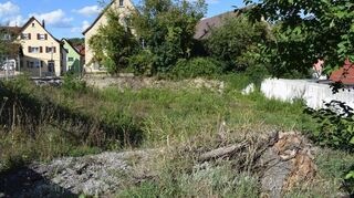 Bauplatz, Biotop und Brache: In der Langen Gasse in Niederstetten bremste vor Jahren der Widerspruch eines Nachbarn ein Bauvorhaben mit elf Wohnungen und Geschäftsräumen über viele Monate aus. Das Projekt scheiterte schließlich. Seitdem liegt das Grundstück in der Stadtmitte brach.