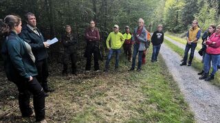 Die Pflege und Verjüngung von Eichenbeständen stand unter anderem im Mittelpunkt einer Waldbegehung des Gemeinderats Königheim mit Forstrevierleiter Frank Löffler, Forstamtsanwärterin Anika Weisbrod und Bürgermeister Ralf Dörr.