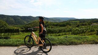 Mit dem Holzfahrrad geht es durch die Weinberge.