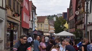Die erste Auflage des CreglingerTaubermarkts war ein voller Erfolg. Viele Besucher strömten in das kleine Städtchen an der Tauber.