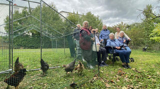 Sieben Hühner sind vor drei Monaten in das Pflegeheim Sonnengarten in Buchen gezogen und erfreuen seither die Bewohner.