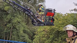 Die Freiwillige Feuerwehr Tauberbischofsheim war mit ihrer Drehleiter vor Ort, die mit einer Wärmebildkamera ausgestattet ist.
