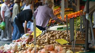Ein Wochenmarkt, reichlich beschickt mit Händlern und Erzeugern, der auf große Resonanz bei den Menschen trifft – wie es freitags auch in Tauberbischofsheim der Fall ist.
