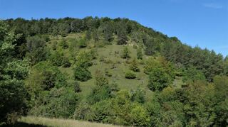 Der Mehlberg bei Unterbalbach wurde vor 50 Jahren unter Naturschutz gestellt.