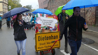 Die Ortschaften der Großen Kreisstadt Wertheim waren beim Umzug stark vertreten.