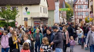 Nach den Themen „Mittelalter“ und „Entenhausen“ steht in diesem Jahr beim Herbstfest alles unter dem Leitgedanken „Adelsheim bewegt“.