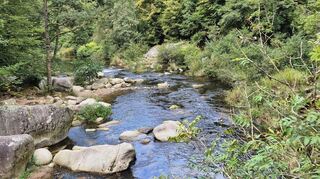 Wilde Wasser und Flusslandschaften entlang der Murg.