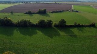 Agroforstsysteme, also die Kombination von Forstwirtschaft und Ackerbau, können dazu beitragen, die Erträge selbst in trockenen Jahren zu sichern. Dafür werden zwischen den Feldern Streifen mit Bäumen und Hecken bepflanzt – ähnlich wie auf unserem Luftbild.