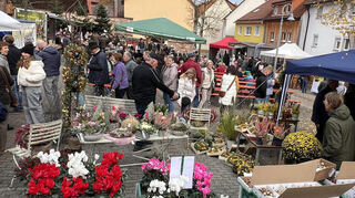Viel los war beim Mudauer Bauernmarkt. Die Organisatoren durften sich über einen Besucherrekord freuen.