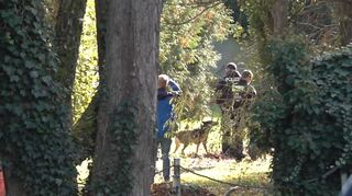 Spürhunde sind auf dem Gelände untwergs.