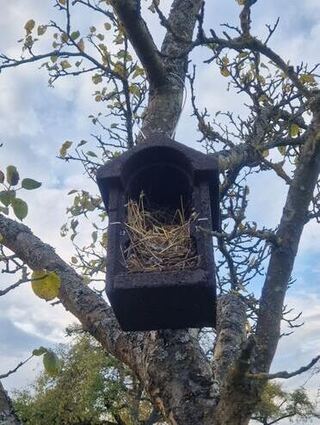 Die Vogelhäuser zu reinigen ist wichtig, damit sich keine Parasiten einnisten und die Brut im Folgejahr von ihnen nicht befallen wird.
