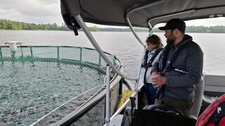 Jonas Ekwall nimmt regelmäßig Gäste mit, wenn er mit dem Motorboot die Fischzucht kontrolliert.