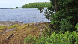 Der Bolmen lädt im Sommer mit vielen kleinen Buchten zum Baden ein.