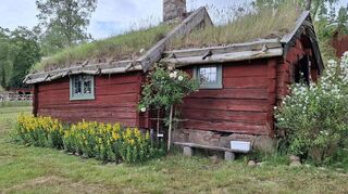 Typische Bauernhäuser aus der Region Halland sind im Freilichtmuseum Hallandsgården zu entdecken.