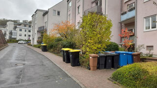 Mülltonnen im öffentlichen Verkehrsraum (Symbolbild) in der Wertheimer Innenstadt sind oftmals ein Ärgernis. Durch die neue, große GelbeTonne werde das Problem noch verschärft, hieß es in der Sitzung des Innenstadtbeirats.