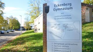 Das Eckenberg-Gymnasium in Adelsheim gibt es seit 60 Jahren.