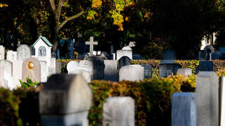 Am 01. November ist der katholische Feiertag Allerheiligen, der dem Gedenken an die Verstorbenen gilt.
