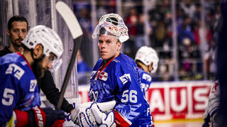 Torhüter Maximilian Franzreb ist einer der Gewinner bei den Adlern Mannheim.
