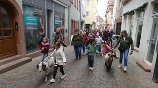 Zu den Höhepunkten des Bauernmarkts am Sonntag gehörte der Abtrieb der Burgziegen.