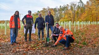 Landrat Christoph Schauder pflanzte auf einer Fläche bei Lustbronn den letzten von rund 1200 Bäumen, eine Elsbeere (von links): Hanna Kuznetsova (Projektleiterin Straßenbauamt), Einsatzleiter Uwe Choinowski und Geschäftsführer Peter Steinbach von den Forstbaumschulen Steinbach, Technik-Dezernent Werner Rüger, Landrat Schauder und Straßenbauamtsleiter Markus Metz.