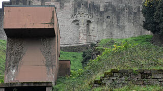 Auch im Hasengarten zum Main hin müssen Mauern gesichert werden.