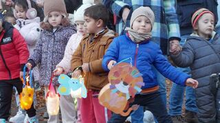 Die selbstgebastelten Lampinione der Kinder waren farbenfroh gestaltet. Stellvertretend für alle Martinsumzüge in der Region berichten wir über den Umzug aus Buchen.