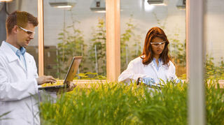 Die Agrarsparte Agricultural Solutions der BASF soll an die Börse.