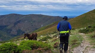IOC-Ehrenpräsident Dr. Thomas Bach lief eine 320 Kilometer lange Etappe des Jakobswegs.
