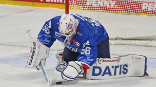 Sicherer Rückhalt: Adler-Torwart Maximilian Franzreb hielt gegen Wolfsburg den Sieg fest.