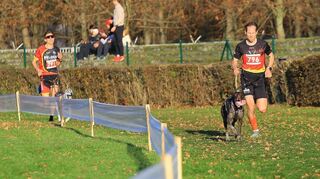Alexander Bachmann und sein Hund Chase holten mit der Männerstaffel bei der ICF-Weltmeisterschaft im tschechischen Pardubice die Bronzemedaille.