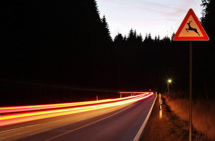 Löwenstein: Car burned out after wildlife collision