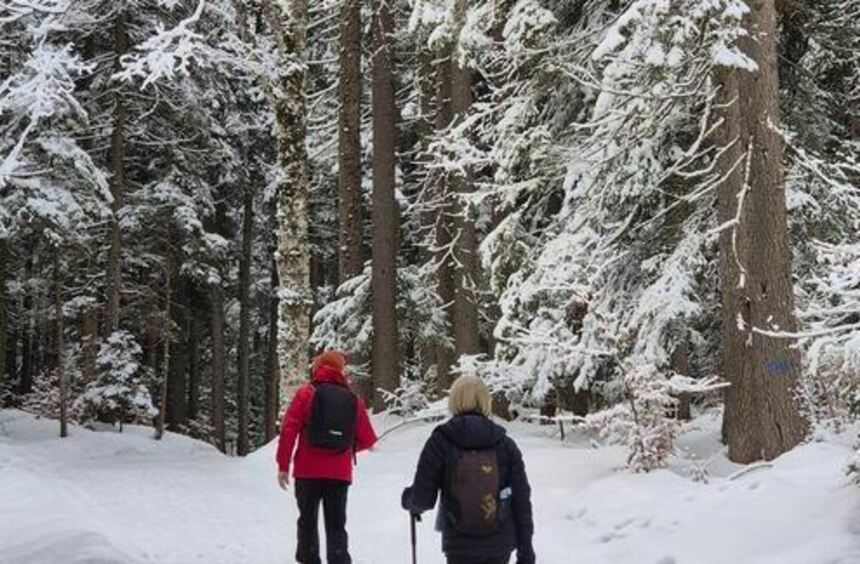On snowy trails