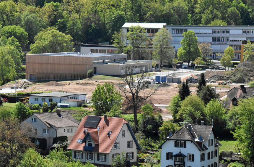 Wertheim: Budget transfers are explosive