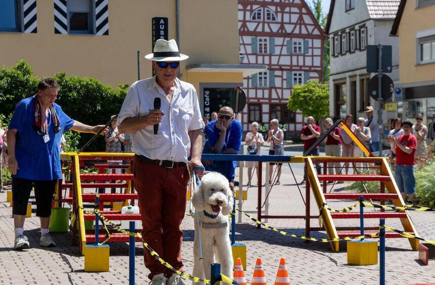 Inclusion Day in Adelsheim sets an example for lived coexistence