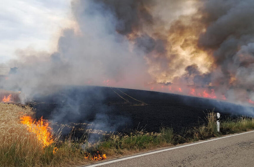 Wheat field of more than four hectares is burning near Sennfeld