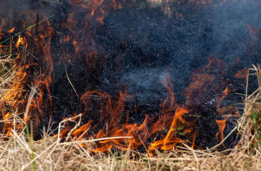 Hergenstadt: Field catches fire