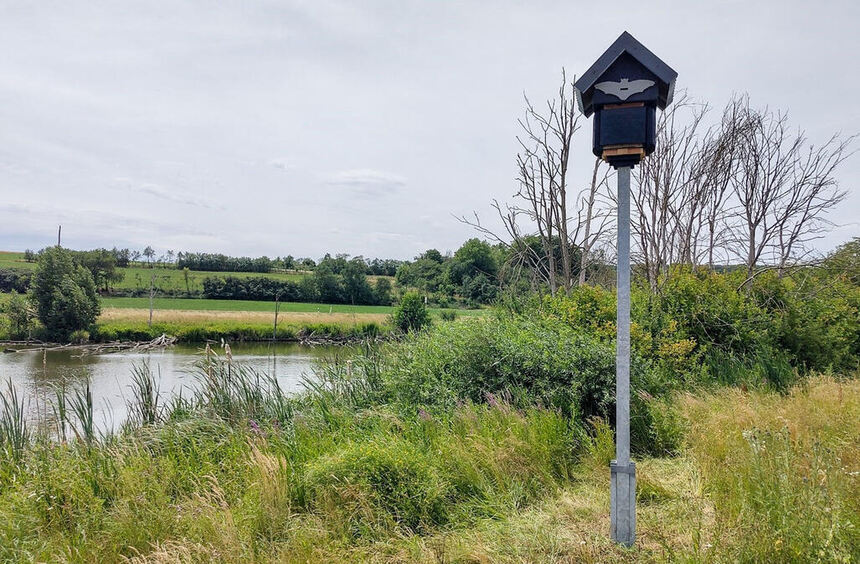 New quarters for native bats in Wittighausen