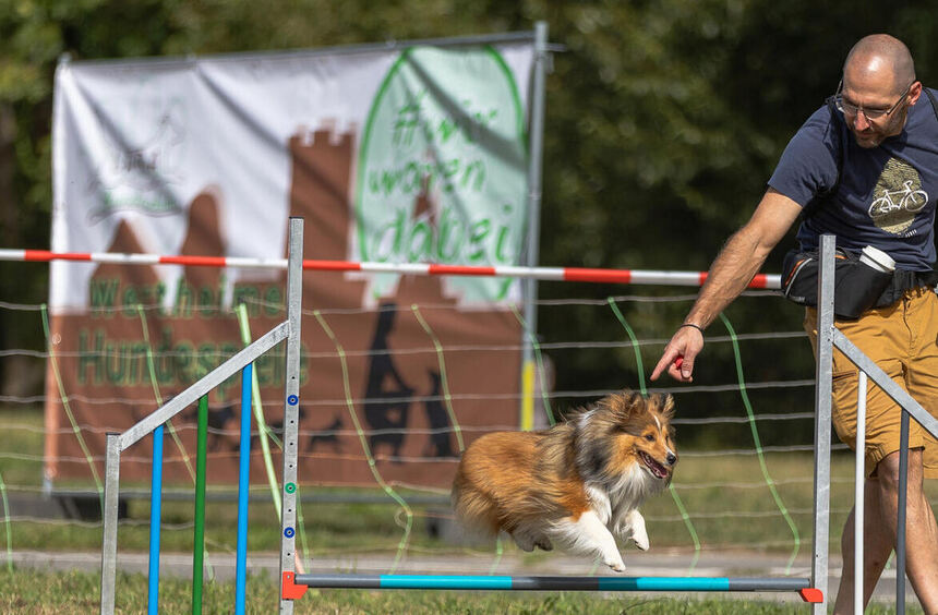 Wertheim Dog Games: Fun and Action for People and Dogs