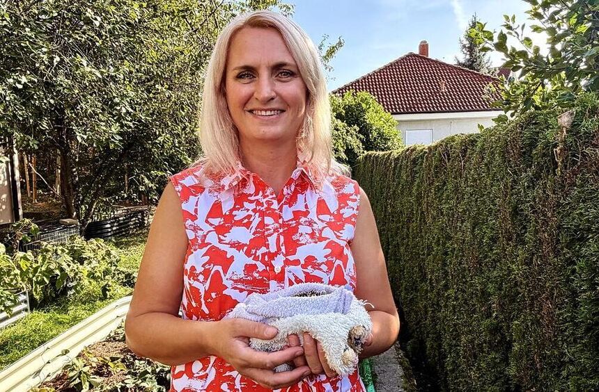 Hedgehogs in Distress: Why Lena Vath Dedicates Hours Every Day to Her ...