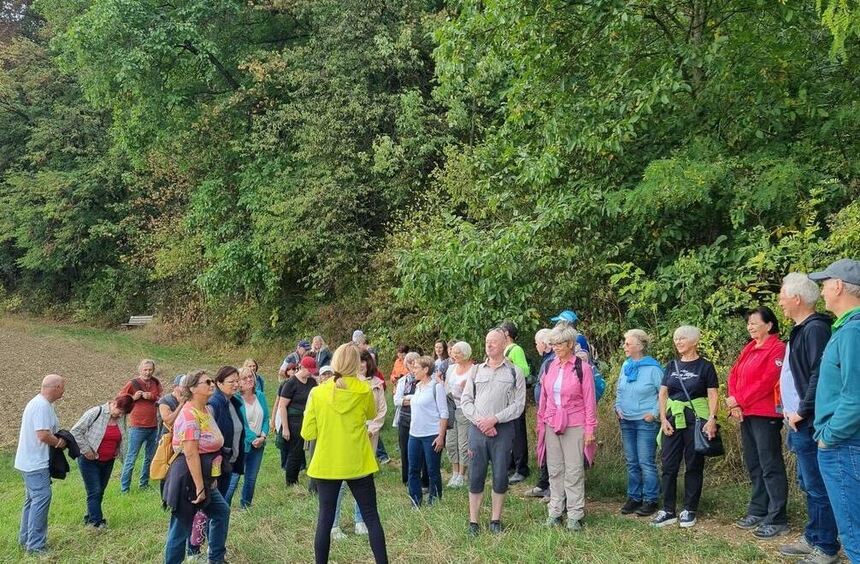 TSV Tauberbischofsheim Moves with #BeActive