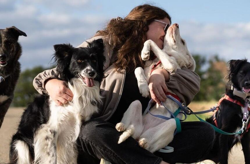 Lauda: Valentina Duschek bereitet Straßenhunde auf ein neues Zuhause vor