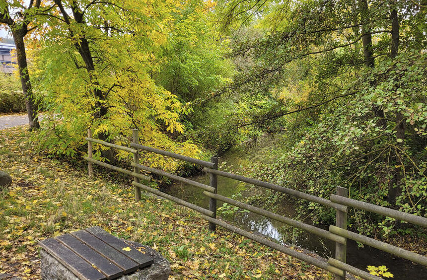 Bad Mergentheim: Wie geht es mit den Wachbach-Terrassen weiter? ...