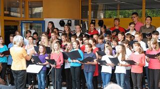 <p>Der Unter- und Oberstufenchor des Martin-Schleyer-Gymnasiums beim Sommerkonzert.</p>