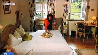 <p>Die Gäste haben abgestimmt: Sie wählten das Waldhotel "Wohlfahrtsmühle" in Hardheim auf Platz zwei der "schönsten Landhotels" in Baden-Württemberg und Rheinland-Pfalz. Der Südwestrundfunk hatte die Zuschauer um ihr Votum gebeten. In einer Fernsehsendung am Donnerstagnachmittag wurden die insgesamt 20 Hotels vorgestellt.</p>