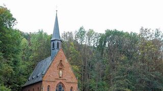 <p>Die Baumreihe an der Werbacher Liebfrauenbrunnkapelle soll bald wieder den Charakter eine Allee vermitteln. Nachdem die morschen Kastanien im Februar gefällt worden waren, sollen am Samstag, 11. Oktober, zehn Kaiserlinden an ihrer Stelle gepflanzt werden.</p>