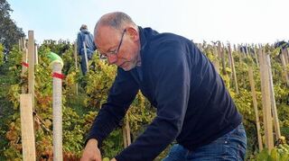 <p>Gerd Sych, Sprecher des Slow-Food-Conviviums Mainfranken Hohenlohe, macht sich für die Erhaltung von alten Weinbergen stark.</p>